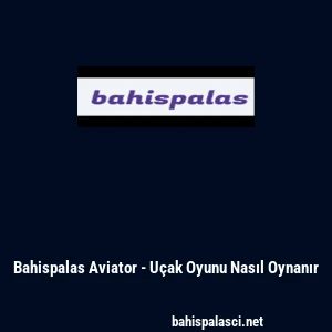 Bahispalas Aviator - U&ccedil;ak Oyunu Nasıl Oynanır