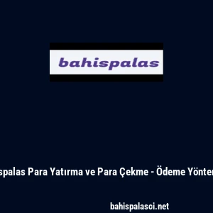 Bahispalas Para Yatırma ve Para &Ccedil;ekme - &Ouml;deme Y&ouml;ntemleri